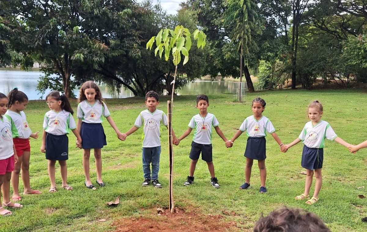 Sete Lagoas Prefeitura Municipal Meio Ambiente Celebrou Dia Mundial